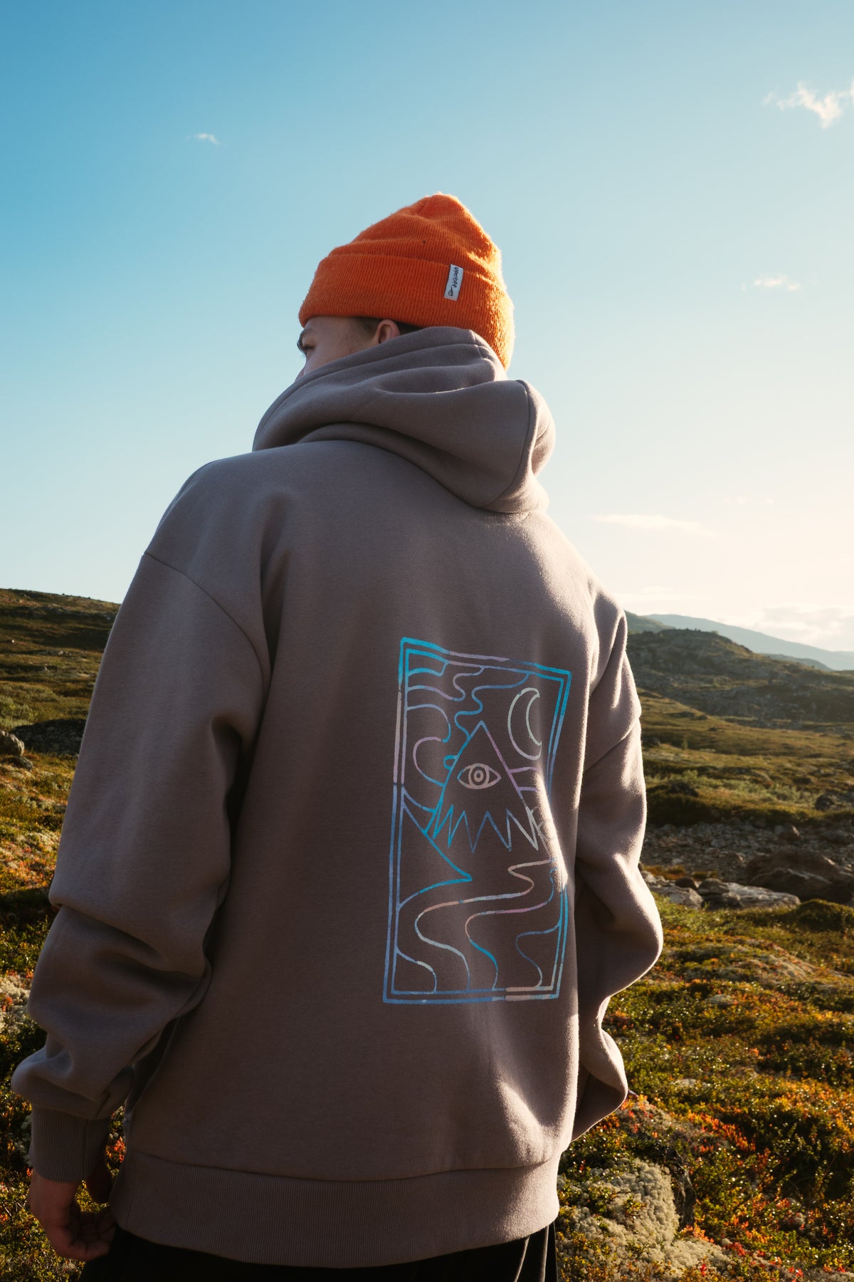 The Shallow Tree Rainbow Hoodie