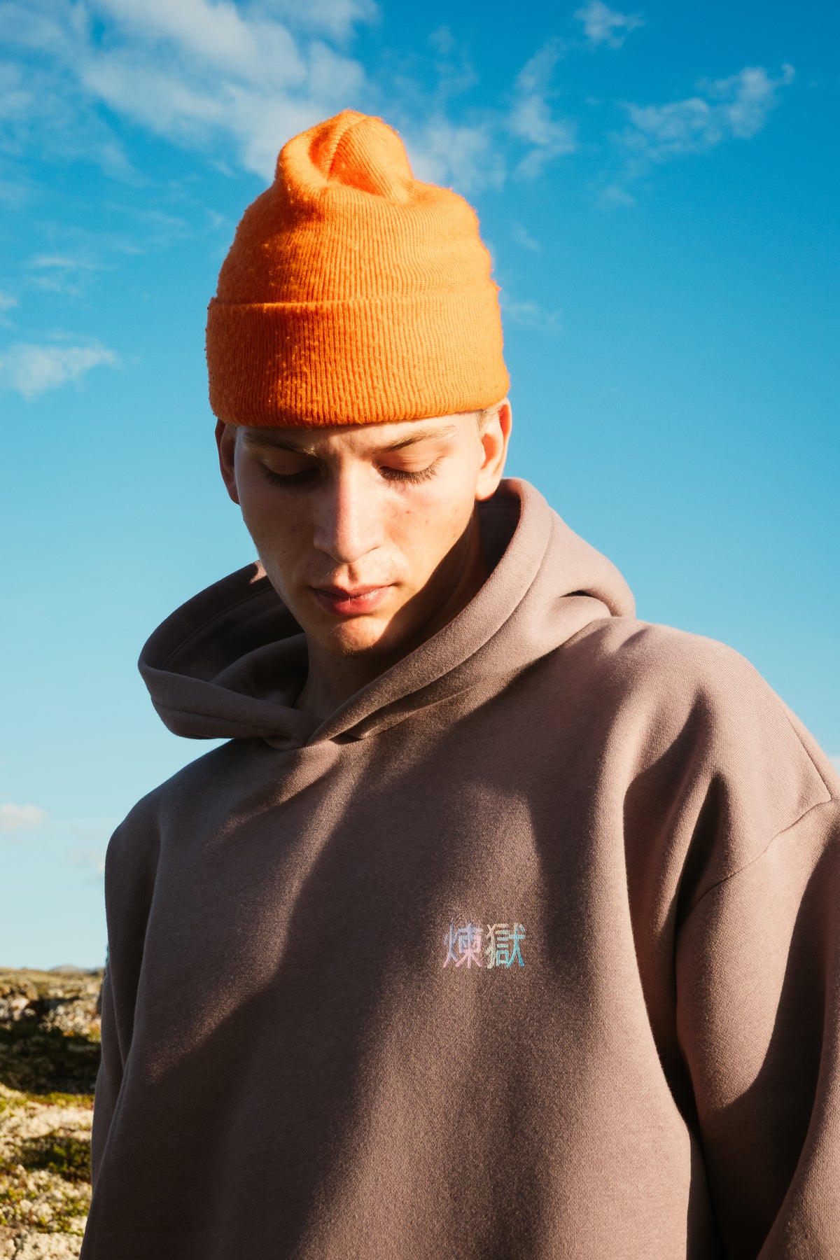 The Shallow Tree Rainbow Hoodie